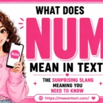 what does num mean in text