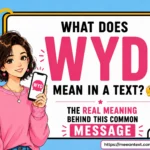 what does wyd mean in a text