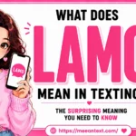 what does lamo mean in texting